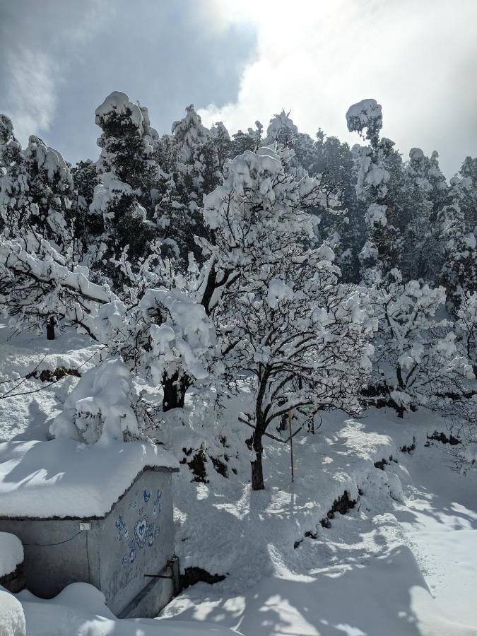 Namastay Himalayas, Kanatal Luaran gambar