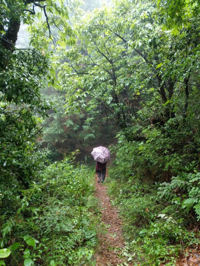 Namastay Himalayas, Kanatal Luaran gambar