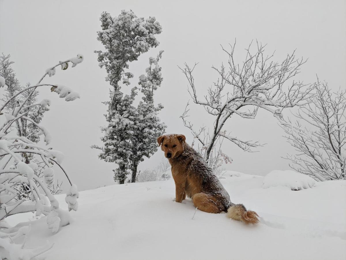 Namastay Himalayas, Kanatal Luaran gambar