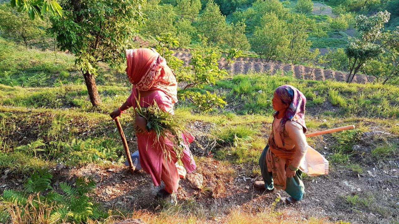 Namastay Himalayas, Kanatal Luaran gambar