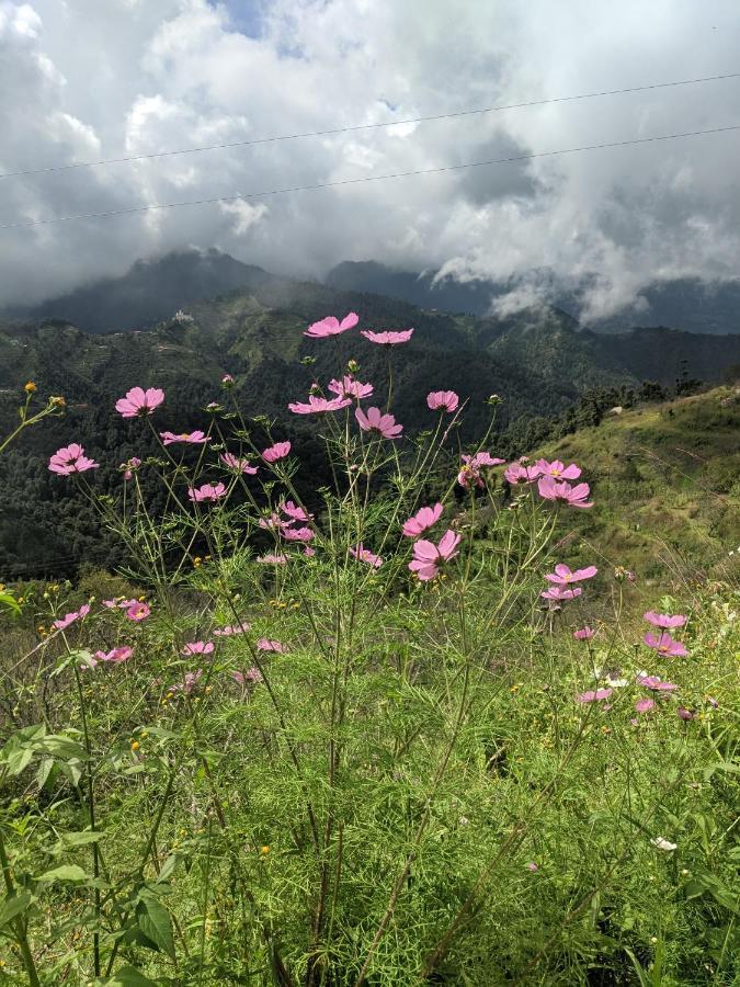Namastay Himalayas, Kanatal Luaran gambar